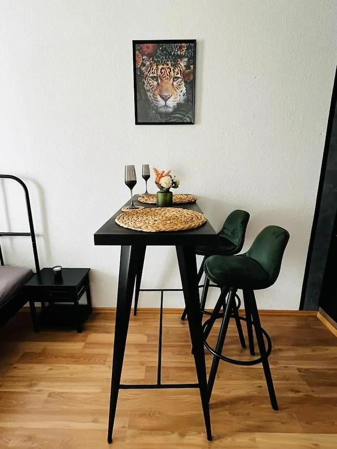 Attraktives Apartment Mit Dem Blick Auf Den Inn Passau Germany
